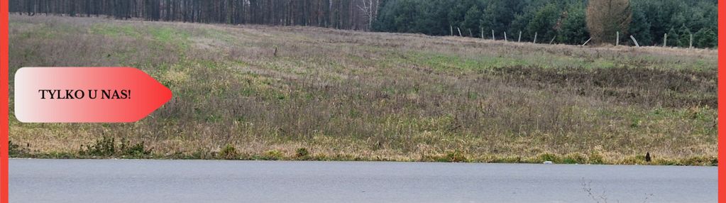 Działka budowlana ze ścianą lasu