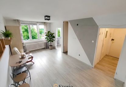 Słońce | centrum | park | zieleń | cisza | kuchnia