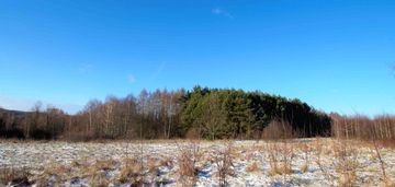 Działka 6600 m2, ćmińsk (gm. miedziana góra)