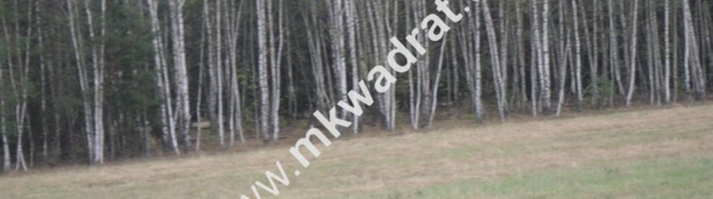 Piękne siedlisko tuż przy kampinowskim parku nar.