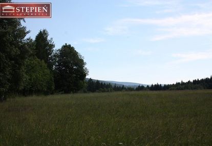 Antoniów - przepiękny teren