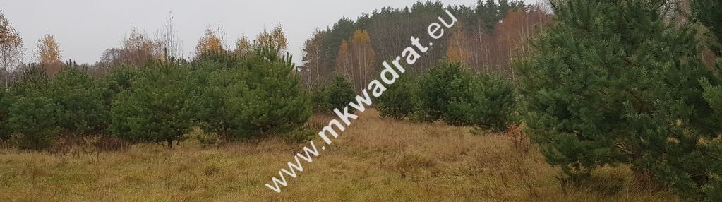 ⭐⭐⭐⭐urokliwa działka przy lesie mpzp media ⭐⭐⭐⭐