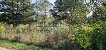 Kaliszki 500 metrów od parku narodowego