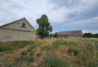 Okazja cenowa !! duża działka - gmina krzywiń