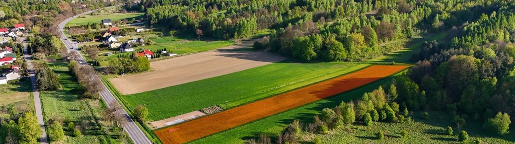 Działka 7200 m2, krynki, gm. brody