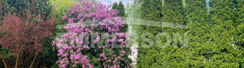 Centrum dobra lokalizacja