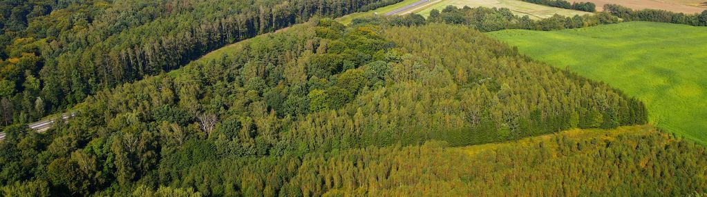 Działka (1,5763 ha)