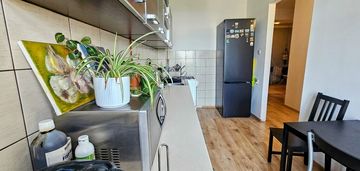 Wrocław śródmieście nadodrze 2 pokoje rozkład