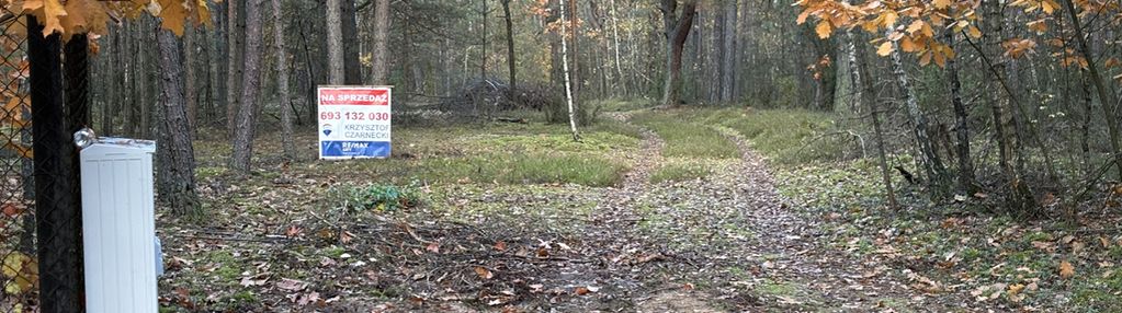 Działka leśna z możliwością zabudowy w mpzp