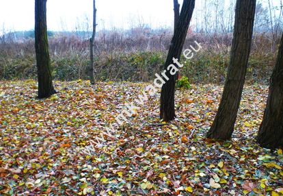 Działka usługowa blisko  stacji wkd