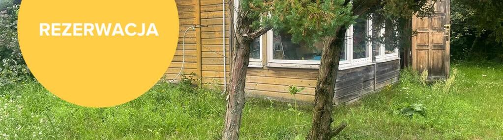 Siedlisko  w chojnie nowym ii