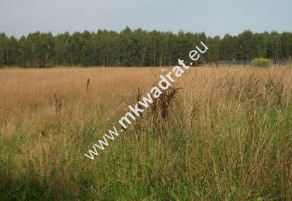 Siestrzeń działka 1500m2
