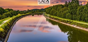 W brzozie nad rzeką notecią