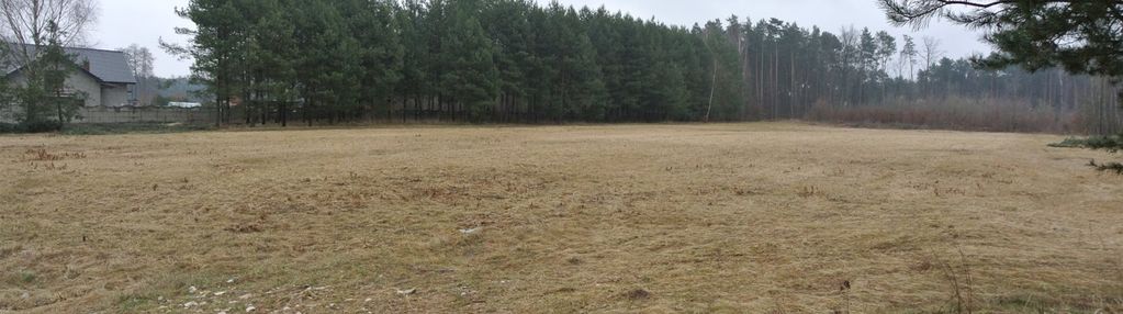 Działka 5428m2, grabowiec, chmielnik