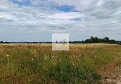 Kompleks działek pod inwestycję. karwowo