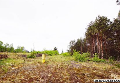 Działki budowlane +wz- grabówka