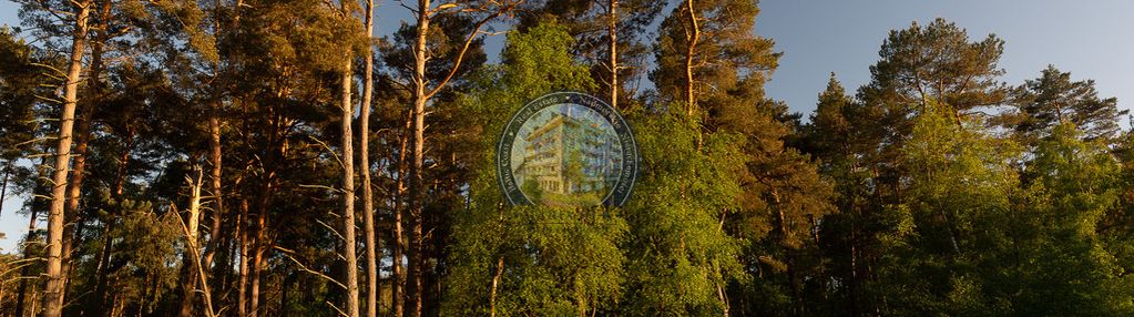 Działka, która łączy las i morze, czysta natura!