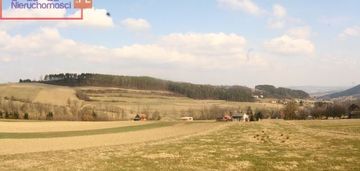 Działka 84ar w miejscowości krasne potockie