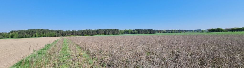 Działki budowlane 1000 m2, 70 km od w-wy, łaś