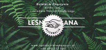 Działka z widokiem na las, obok vilpark