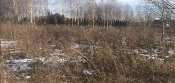 Działka 2.2 ha, okolice ozorkowa