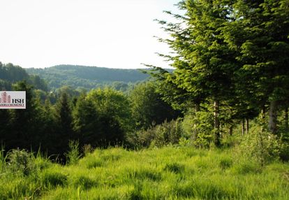 Widokowa, 1,4ha bud. z lasem, maków podhalański