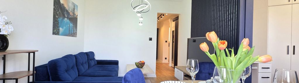 Centrum 3 pokoje i kuchnia, wysoki standard 49 m²