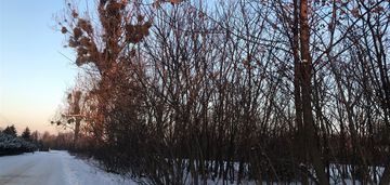 Działka wola pasikońska.