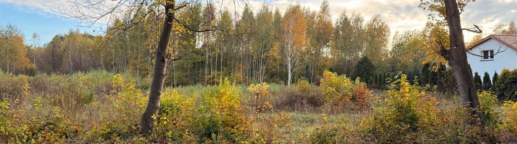 Działka rekreacyjna blisko miasta płońsk