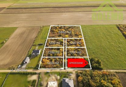 Działki budowlane / 1200m2 / żuraw, gm. janów