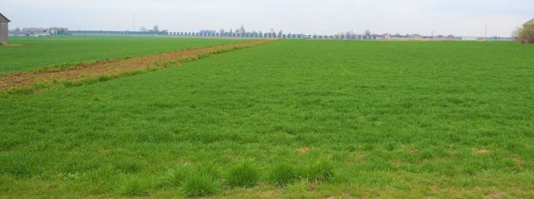 Działka 2000m2 - janówek gm. piaski