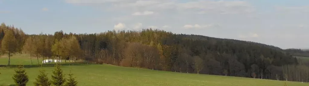 Działka na sprzedaż 1700m2