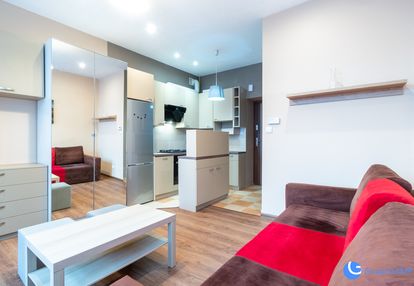 Kawalerka nad rudawą! | kasztelańska | zwierzyniec