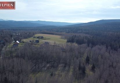 Działka w antoniowie siedliskowa z lasem 8500m2