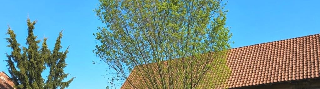 Piękna działka 30 ha | wz | mazury 30 minut od lot