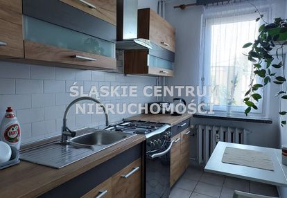 Katowice 2 osobne pokoje, blisko śum ul. zadole