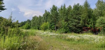 Budowlana działka z lasem łoś gm. prażmów
