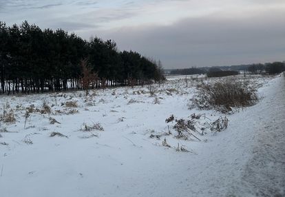 Działka budowlana 760 m2 dąbie gmina psary