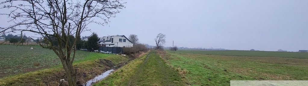 Działki 3000 m2 / warzymice