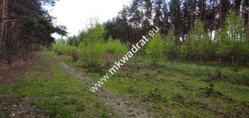 Piękne działki otoczone lasem czarny las 11 813m2