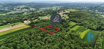 Las na sprzedaż – porąbka uszewska, 62 ary