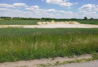 Szewce działka 6 600 m2 /inwestycja