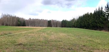 2 działki, przy lesie, blisko Chańczy