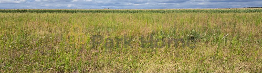 Działki pod budowę domu - stary lubosz