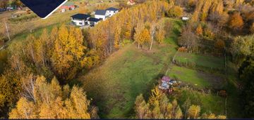 Kameralna okolica | krakowska | wz | zieleń