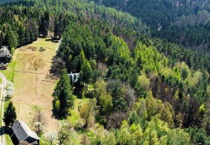 Na sprzedaż gospodarstwo rolne w jastrzębi