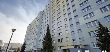 Piątkowo|2 pokoje|umeblowane|winda