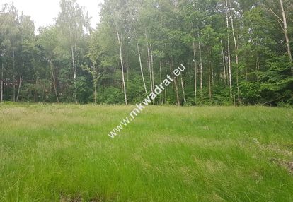 Blisko wkd | wszystkie media | cicha i słoneczna