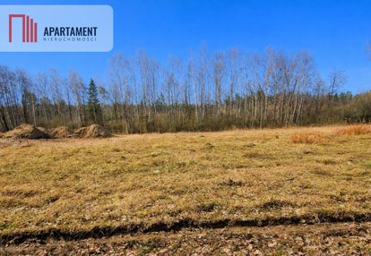 Nad jeziorem, przy lesie.