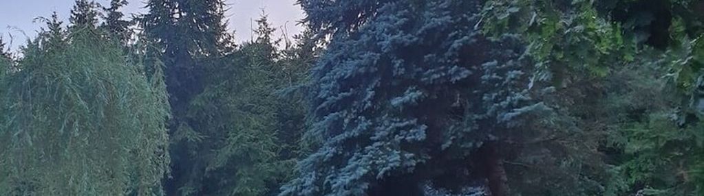 Działka letniskowa - jezioro zagłębocze